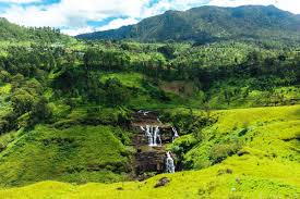 How to Choose the Right Rental Tuktuk service for Your Trip