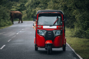 10 Essential Tips for Renting a TukTuk Hassle-Free